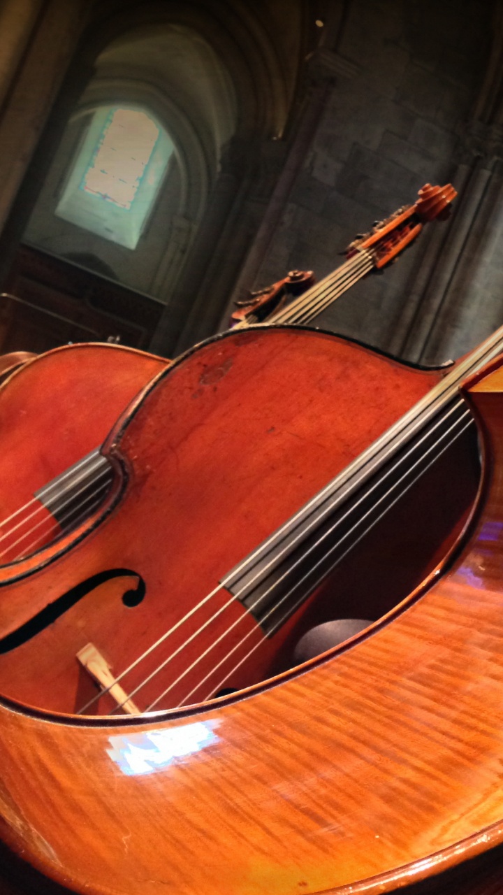 Contrabajo, Bajo Violín, Violone, Viola, Bass Guitar. Wallpaper in 720x1280 Resolution