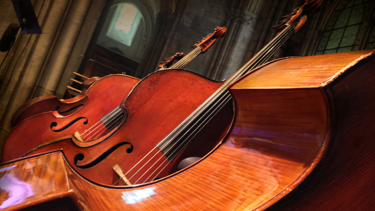 Contrebasse, la Basse de Violon, Violone, Alto, Guitare Basse. Wallpaper in 1280x720 Resolution