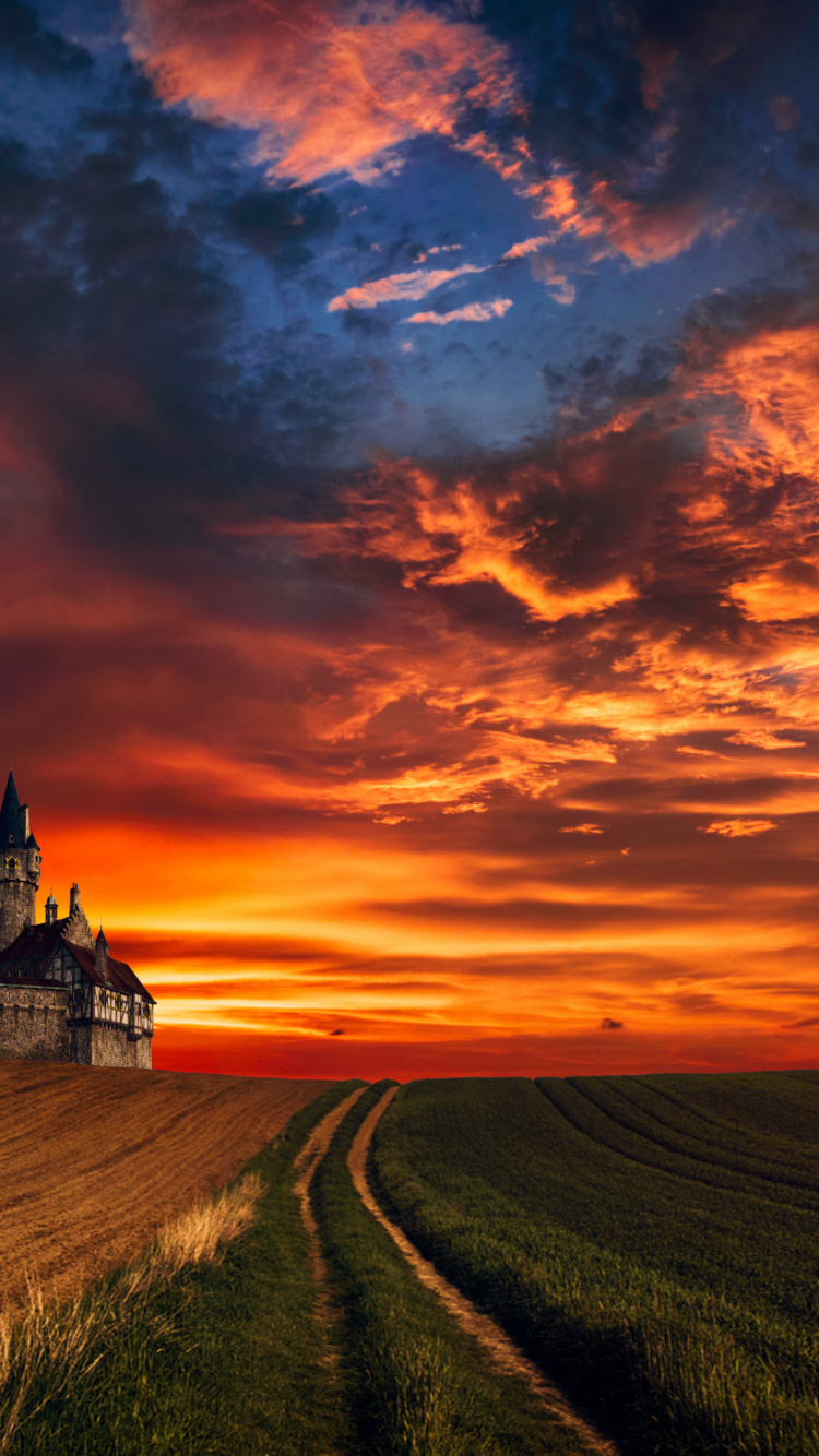 Sunset, Cloud, Atmosphere, Plant, Ecoregion. Wallpaper in 750x1334 Resolution