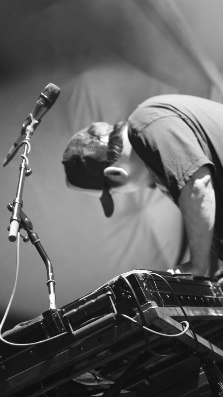 Linkin Park, Plucked String Instrument, Musician, Black, Performance. Wallpaper in 750x1334 Resolution