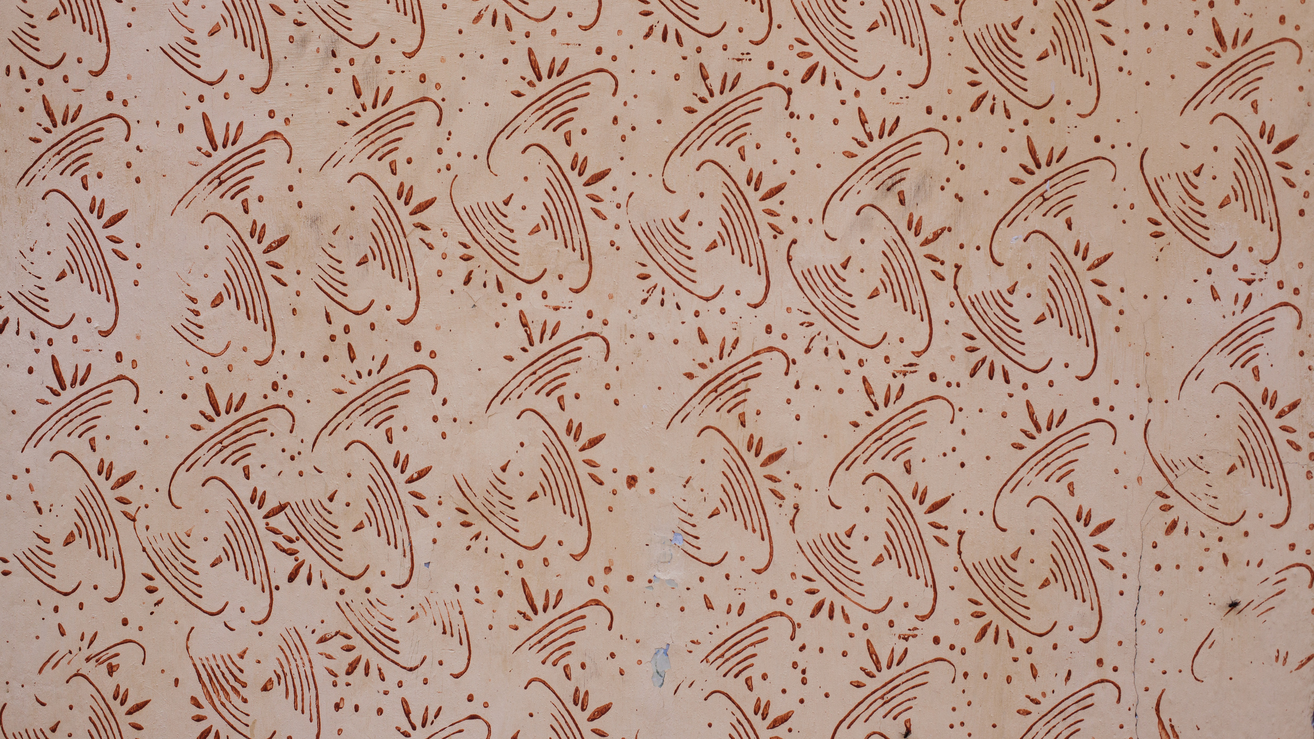 Textil Floral Blanco y Azul. Wallpaper in 2560x1440 Resolution