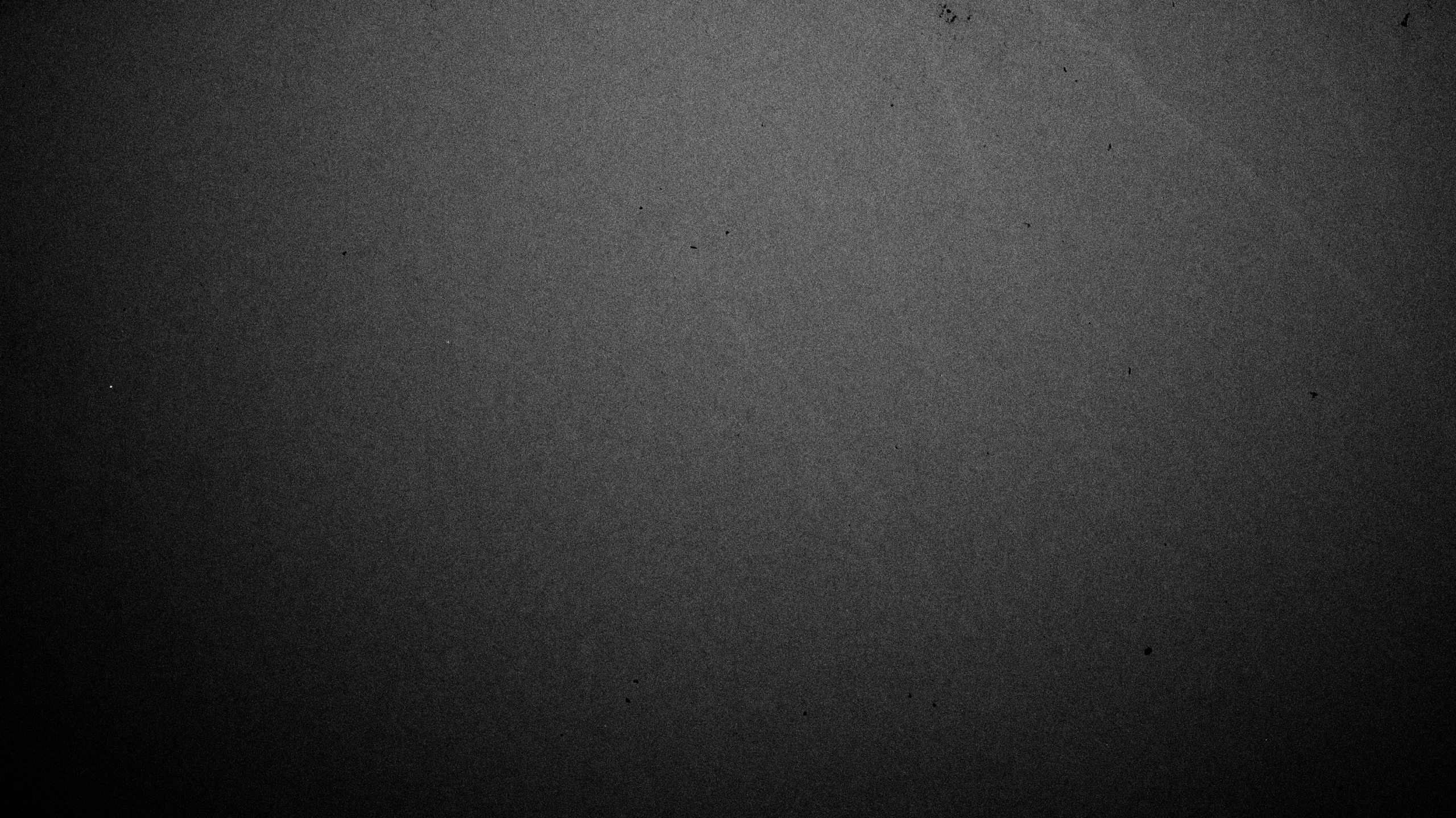 Black Textile With White Paint. Wallpaper in 2560x1440 Resolution