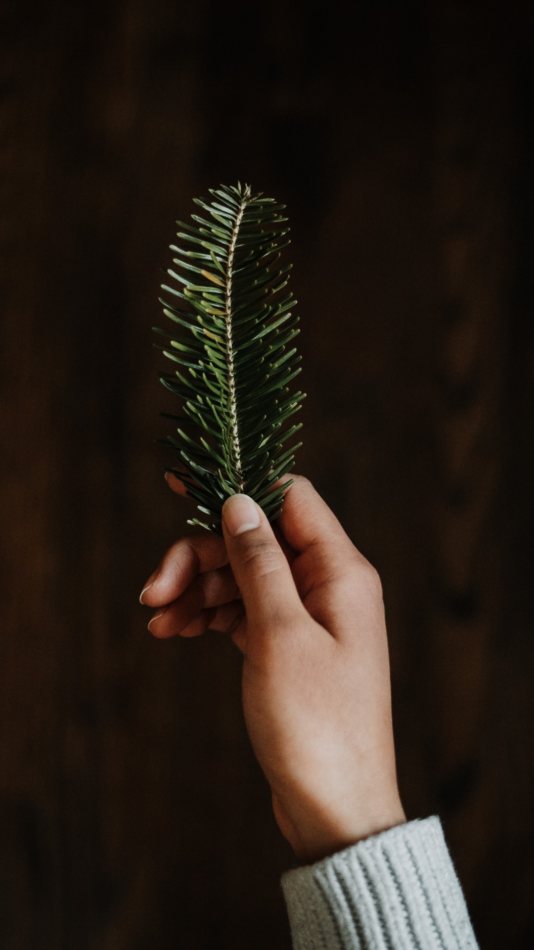 Person Holding Green Leaf Plant. Wallpaper in 1080x1920 Resolution
