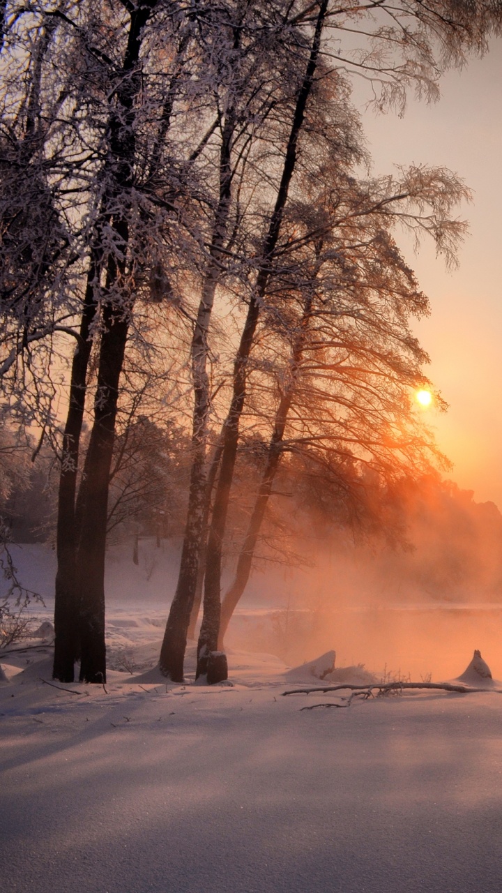 Snow Covered Road During Sunset. Wallpaper in 720x1280 Resolution