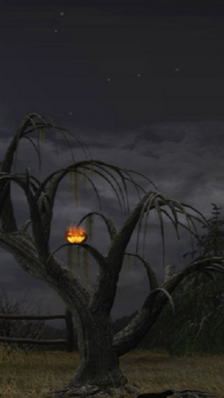Ambiente, Luna, Medianoche, Halloween. Wallpaper in 750x1334 Resolution