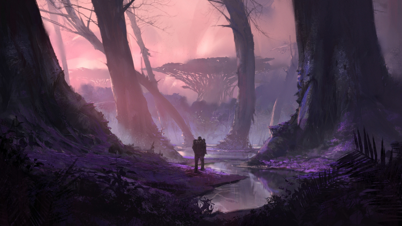 Persona de Pie en el Río Entre Árboles Durante el Día. Wallpaper in 1280x720 Resolution