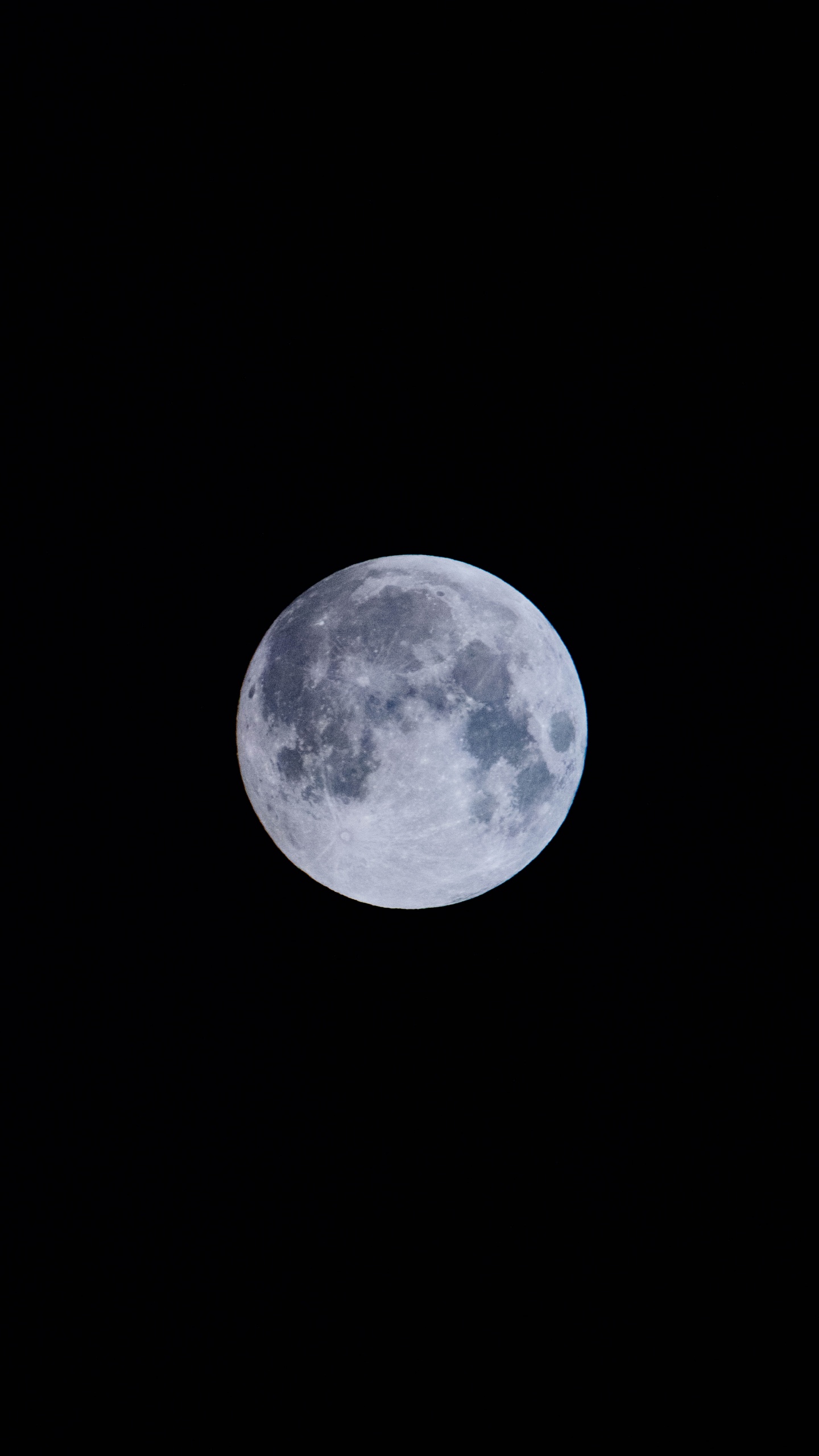Luna Llena en el Cielo. Wallpaper in 1440x2560 Resolution