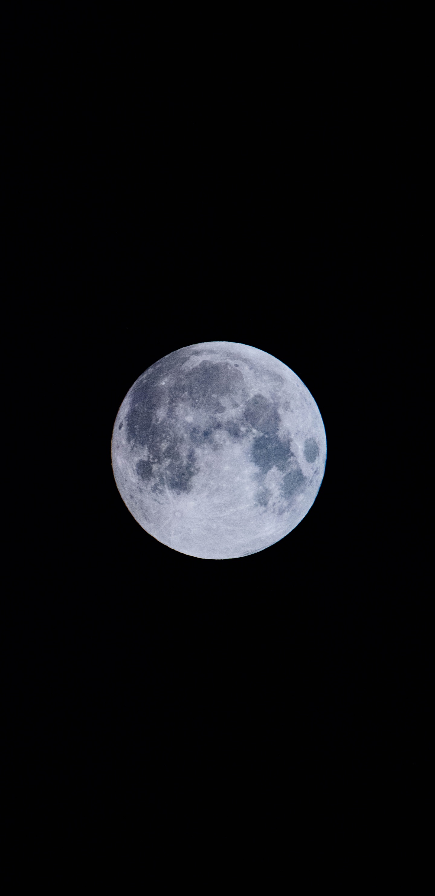 Full Moon in The Sky. Wallpaper in 1440x2960 Resolution