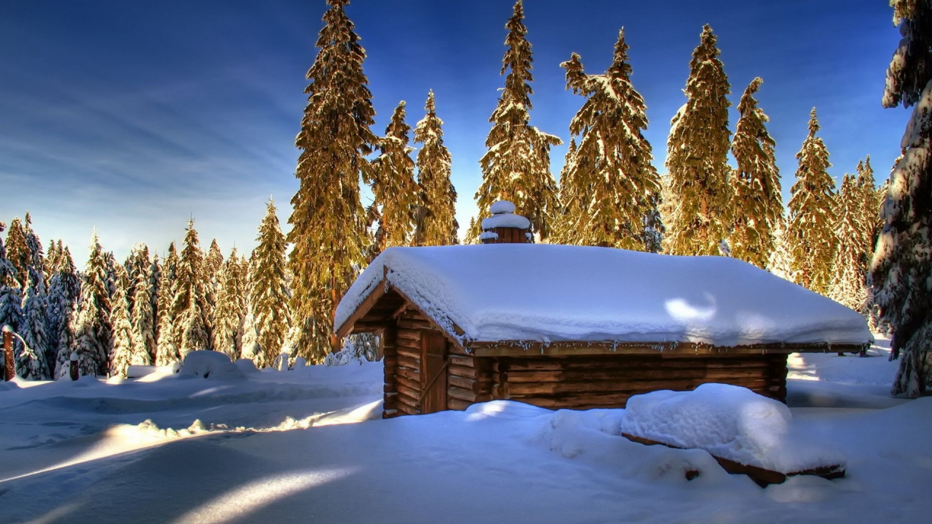 Braunes Holzhaus Mit Schnee Bedeckt in Der Nähe Von Grünen Bäumen Unter Blauem Himmel Tagsüber. Wallpaper in 1920x1080 Resolution