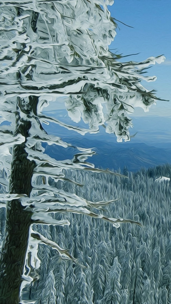 Snow Covered Pine Trees on Mountain During Daytime. Wallpaper in 720x1280 Resolution