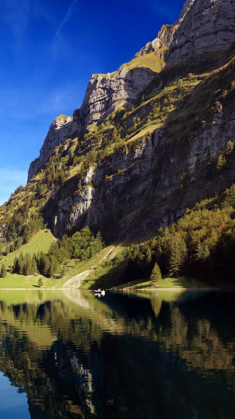 Seealpsee, 水资源, 自然景观, 落叶松 壁纸 750x1334 允许