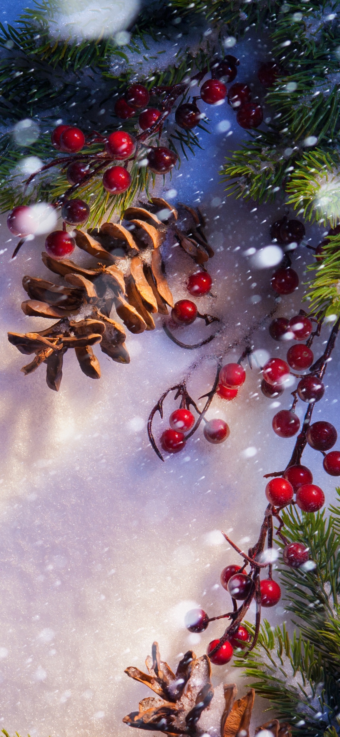 Sapin, Arbre de Noël, Hiver, Nature, Décoration de Noël. Wallpaper in 1125x2436 Resolution