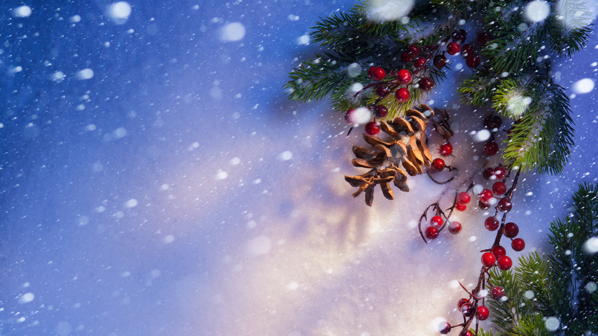 Tree, Christmas, Fir, Christmas Tree, Winter. Wallpaper in 1920x1080 Resolution