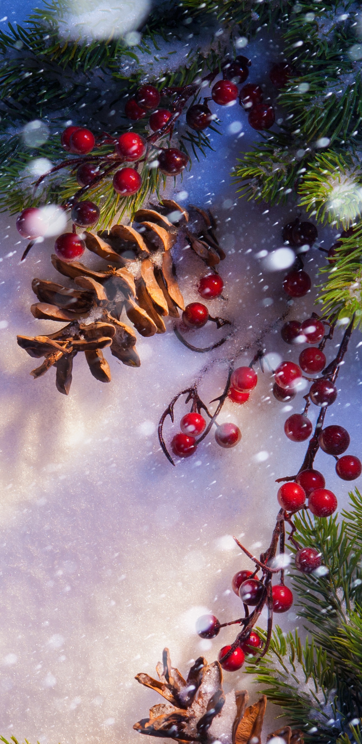 Navidad, Invierno, Naturaleza, Decoración de la Navidad, de Coníferas. Wallpaper in 1440x2960 Resolution