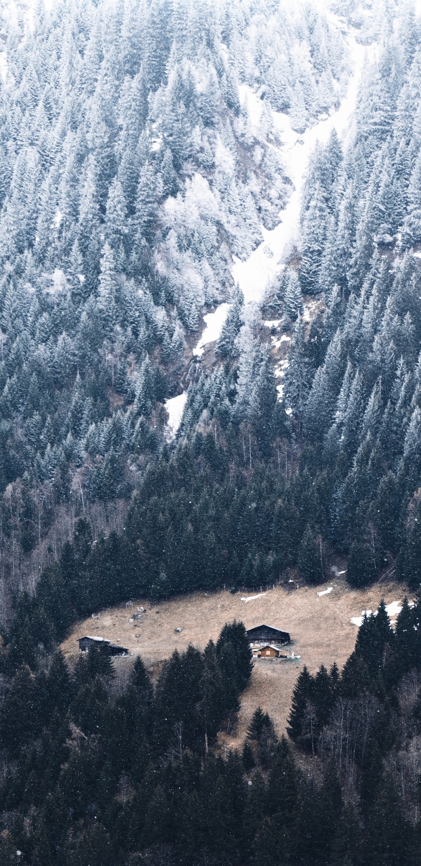 Neige, Les Reliefs Montagneux, Paysage Naturel, Géologie, Hiver. Wallpaper in 1440x2960 Resolution