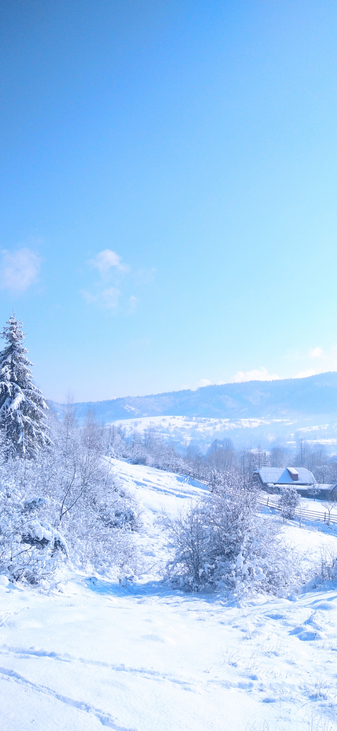 Winter, Cloud, Schnee, Blau, Baum. Wallpaper in 1125x2436 Resolution