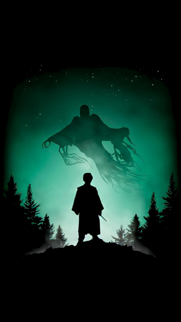 Lord Voldemort, Harry Potter, Dementor, Poster, Atmosphäre. Wallpaper in 750x1334 Resolution