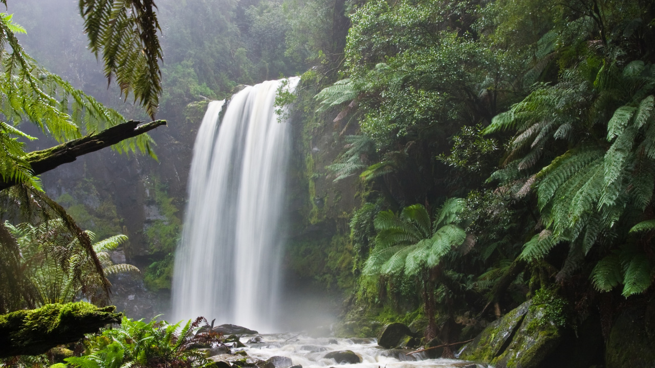 Cascades au Milieu de la Forêt. Wallpaper in 1280x720 Resolution