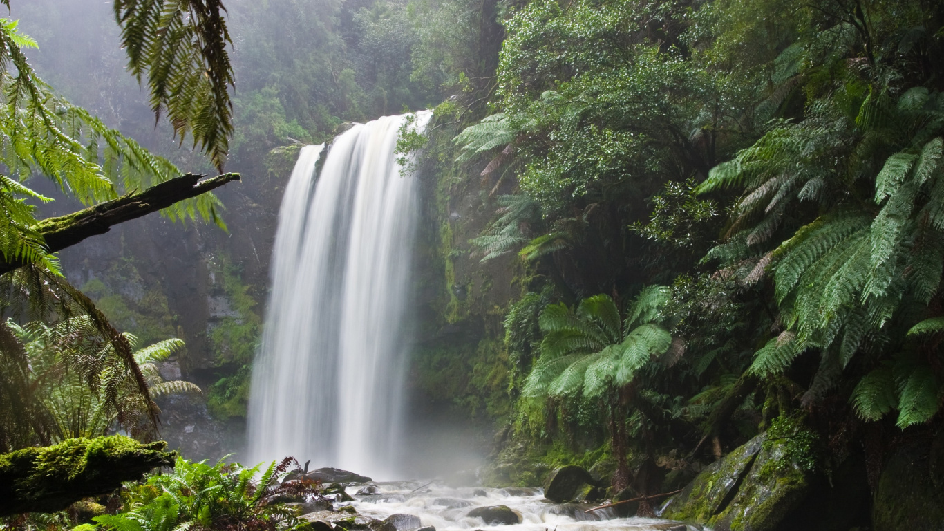 Waterfalls in The Middle of The Forest. Wallpaper in 1366x768 Resolution