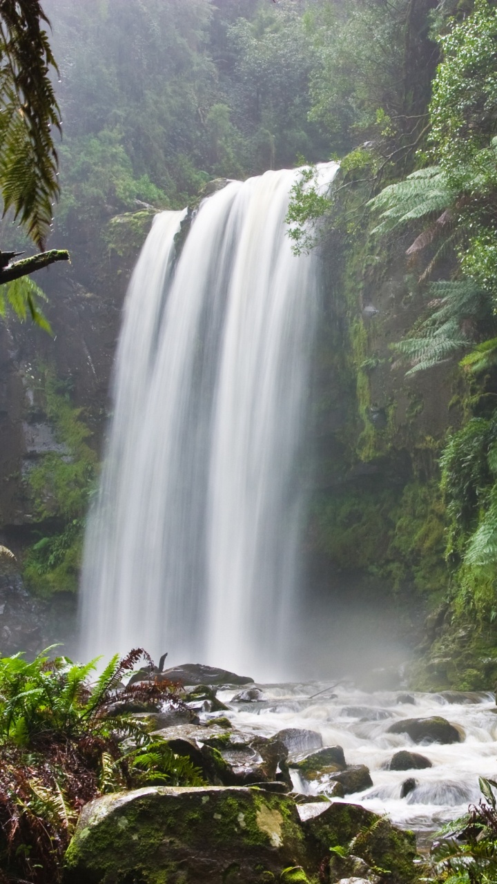 Waterfalls in The Middle of The Forest. Wallpaper in 720x1280 Resolution