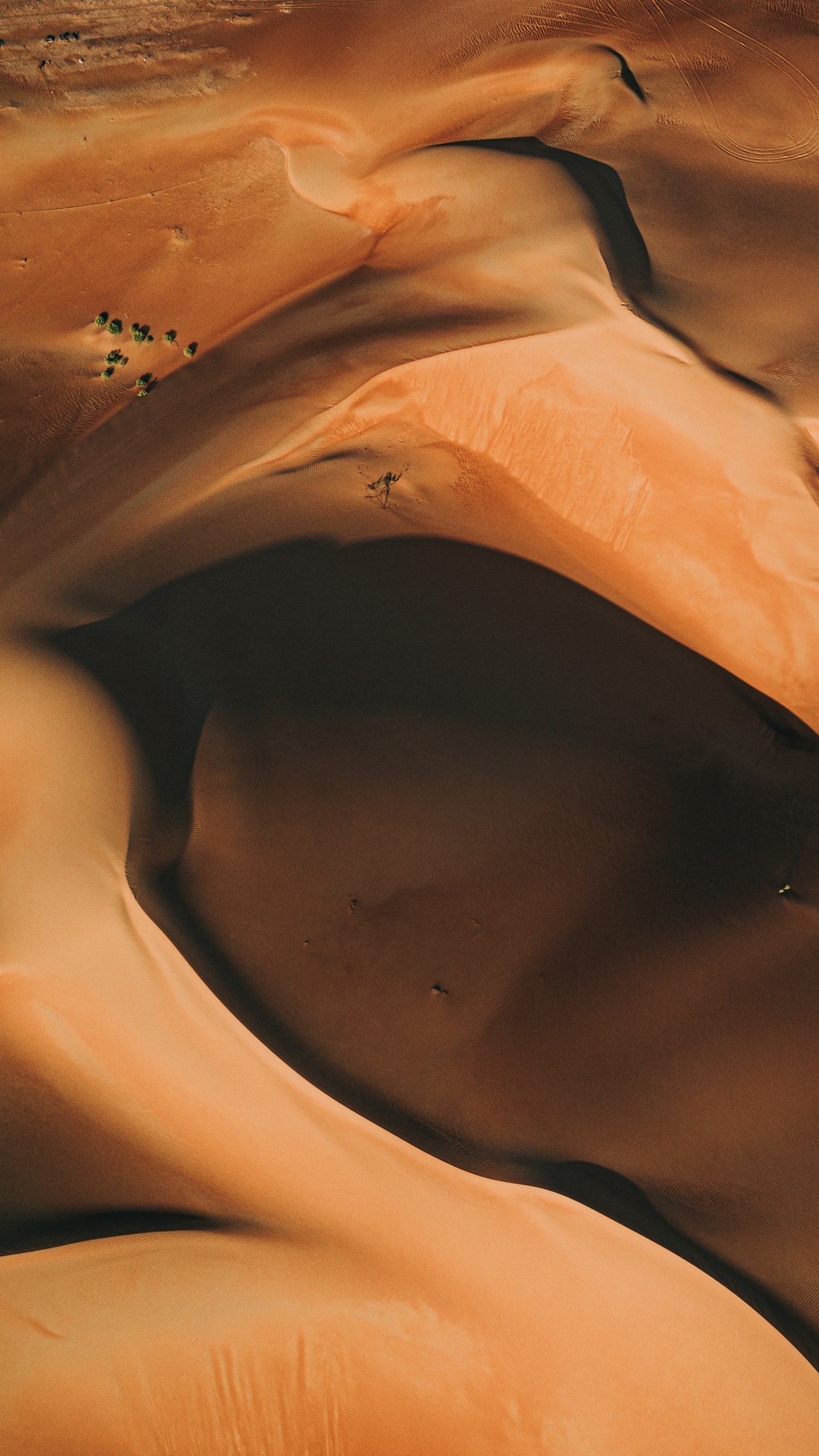 Erg, Desserts, Orange, Aeolian Landform, Sand. Wallpaper in 1440x2560 Resolution