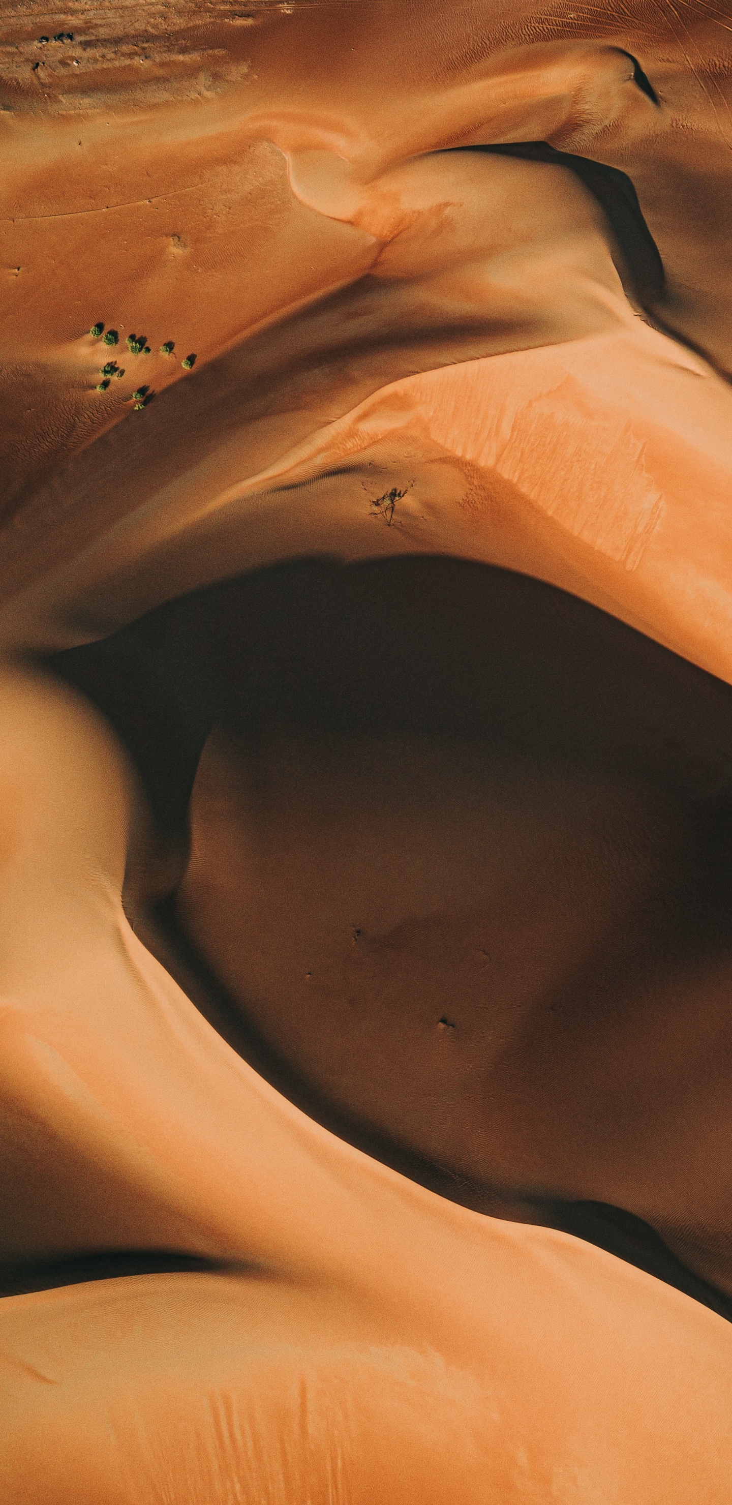 ERG, Les Desserts, Orange, Eoliennes Relief, Sand. Wallpaper in 1440x2960 Resolution