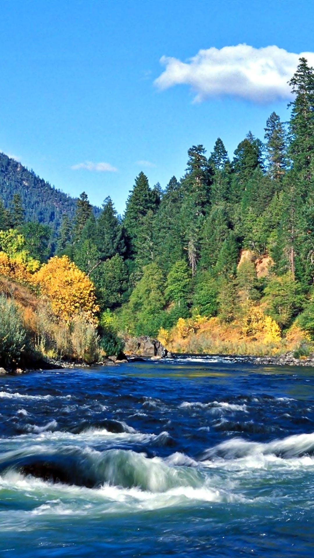 Green Trees Beside River Under Blue Sky During Daytime. Wallpaper in 1080x1920 Resolution