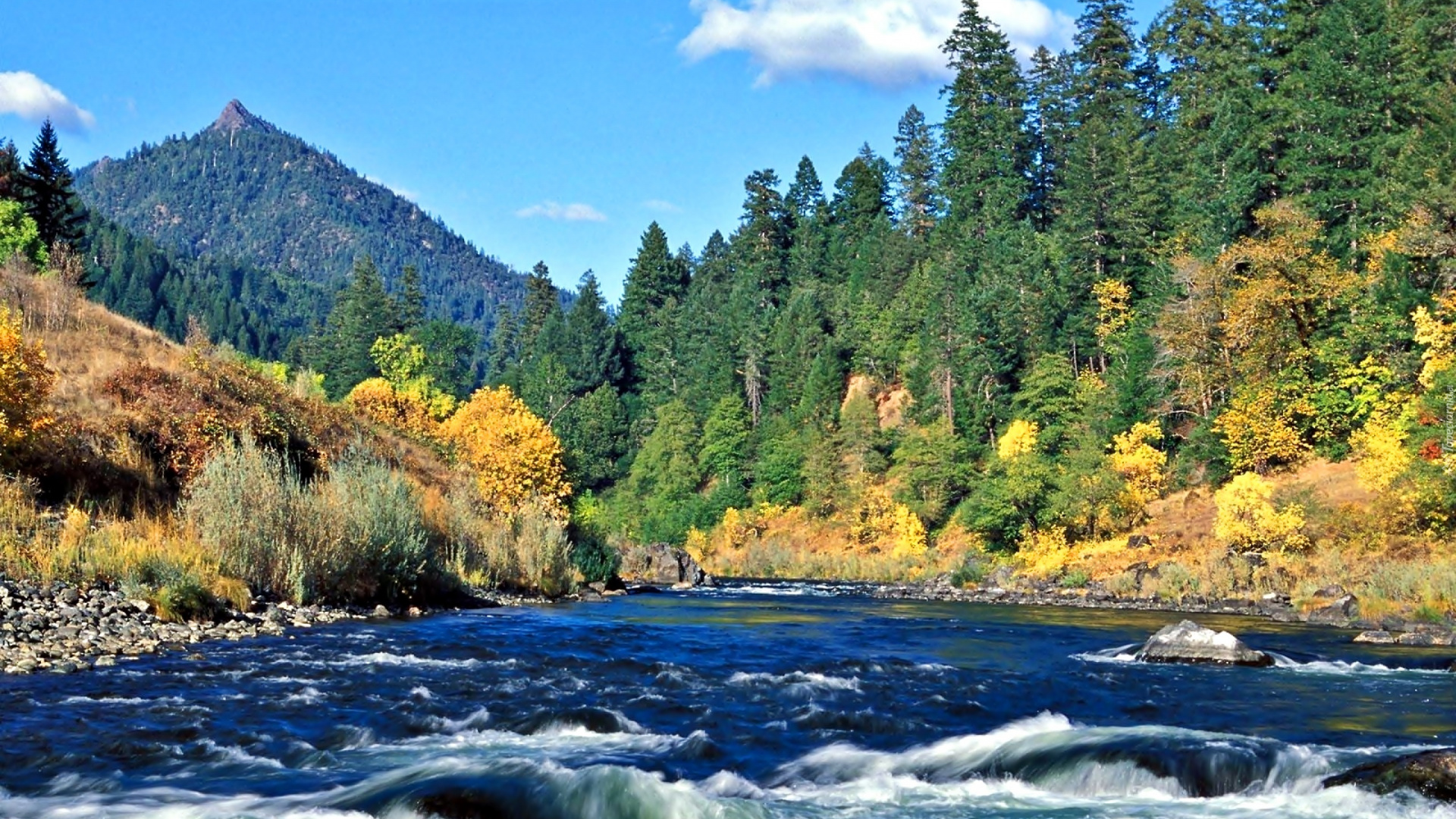 Green Trees Beside River Under Blue Sky During Daytime. Wallpaper in 1920x1080 Resolution