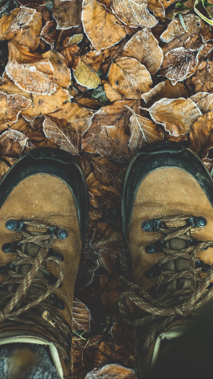 im November in Maine Machen, Wandern, Trail, Reise, Schuh. Wallpaper in 720x1280 Resolution