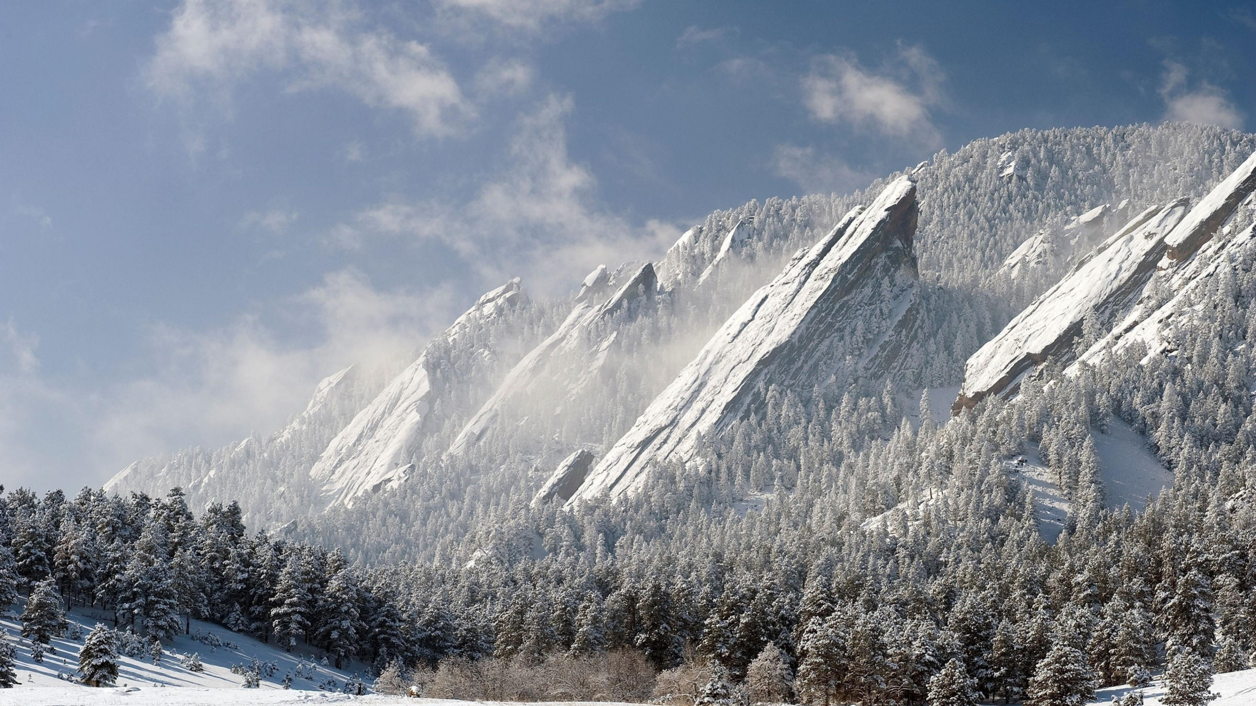 Green Trees Near Snow Covered Mountain During Daytime. Wallpaper in 2560x1440 Resolution