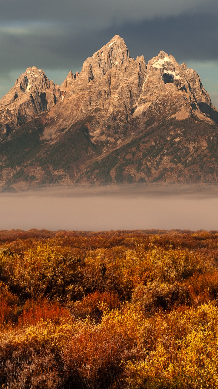 Naturlandschaft, Bergigen Landschaftsformen, Pflanzen-Gemeinschaft, Aufschluss, BedRock. Wallpaper in 720x1280 Resolution