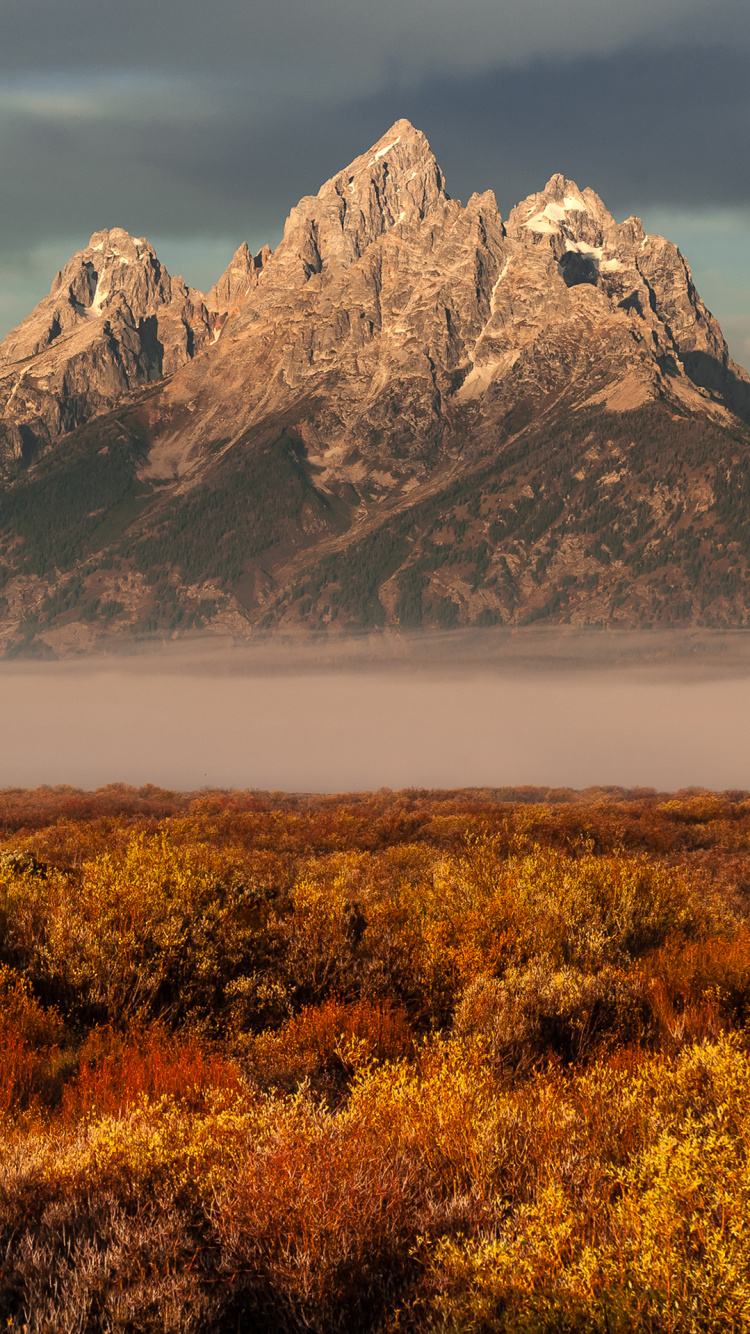 Naturlandschaft, Bergigen Landschaftsformen, Pflanzen-Gemeinschaft, Aufschluss, BedRock. Wallpaper in 750x1334 Resolution