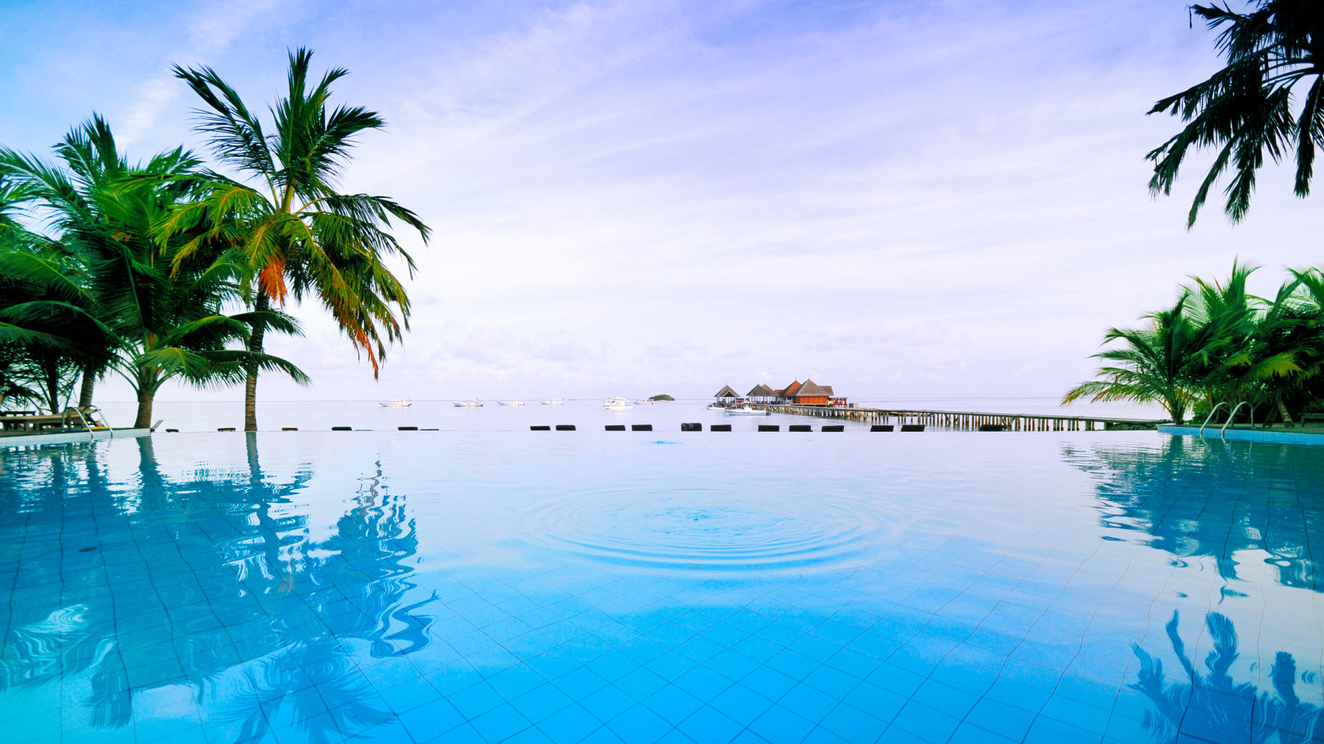 White Swimming Pool Near Green Palm Trees During Daytime. Wallpaper in 1920x1080 Resolution