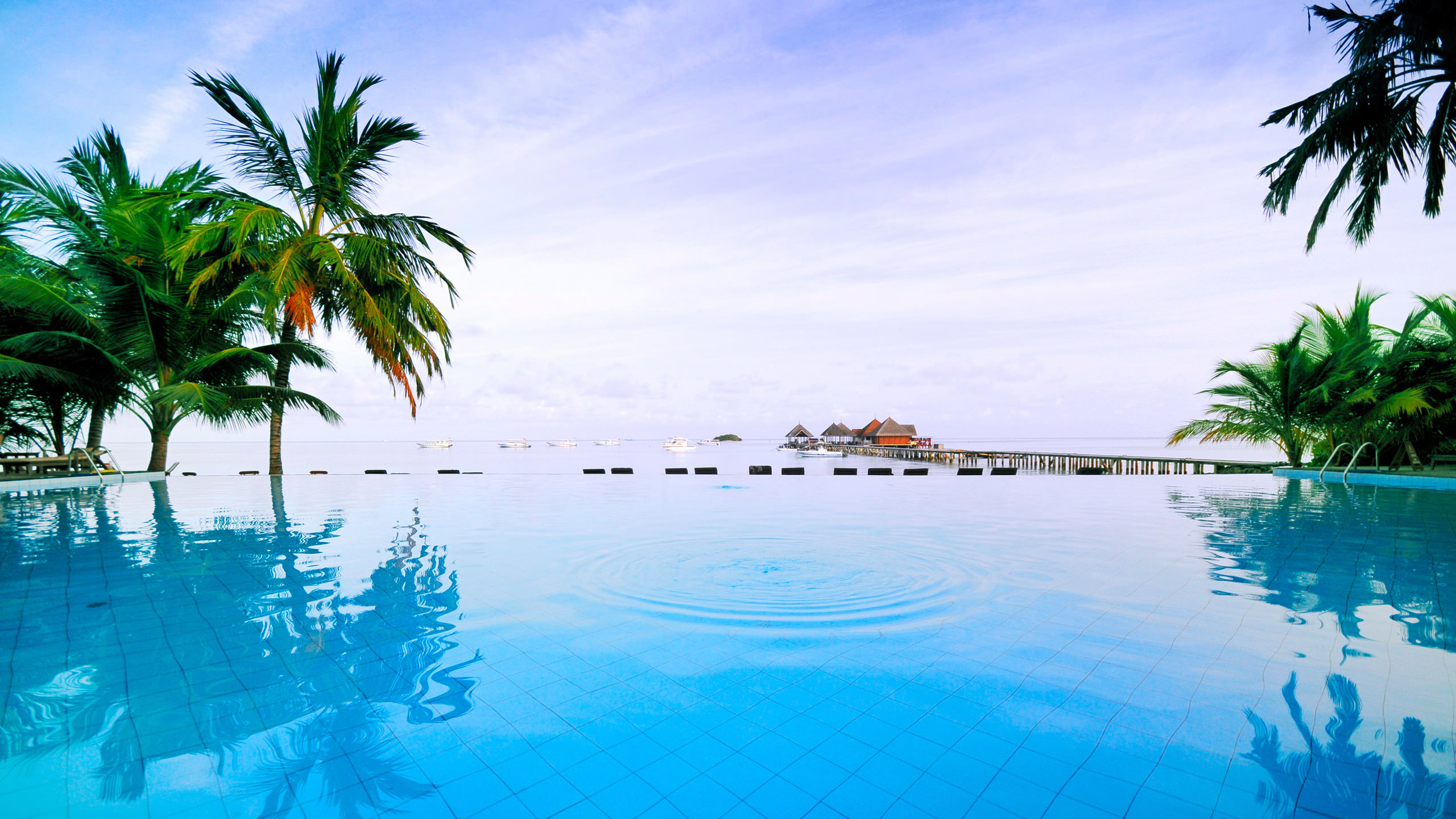 White Swimming Pool Near Green Palm Trees During Daytime. Wallpaper in 2560x1440 Resolution