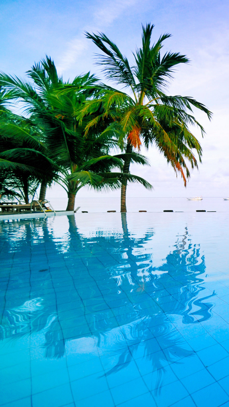 White Swimming Pool Near Green Palm Trees During Daytime. Wallpaper in 750x1334 Resolution
