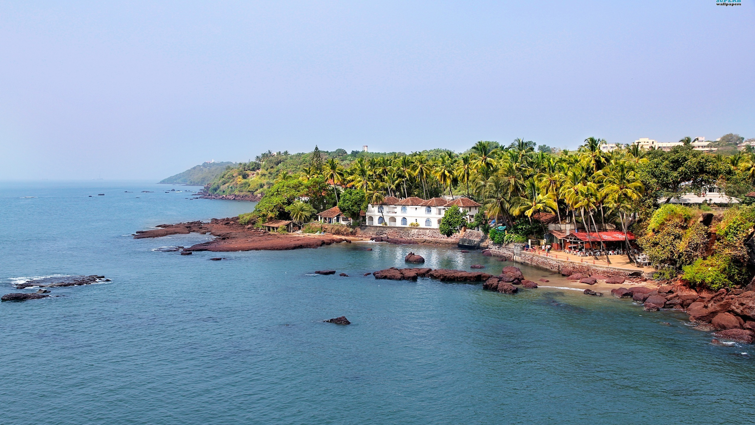 Árboles Verdes Cerca Del Cuerpo de Agua Durante el Día. Wallpaper in 2560x1440 Resolution
