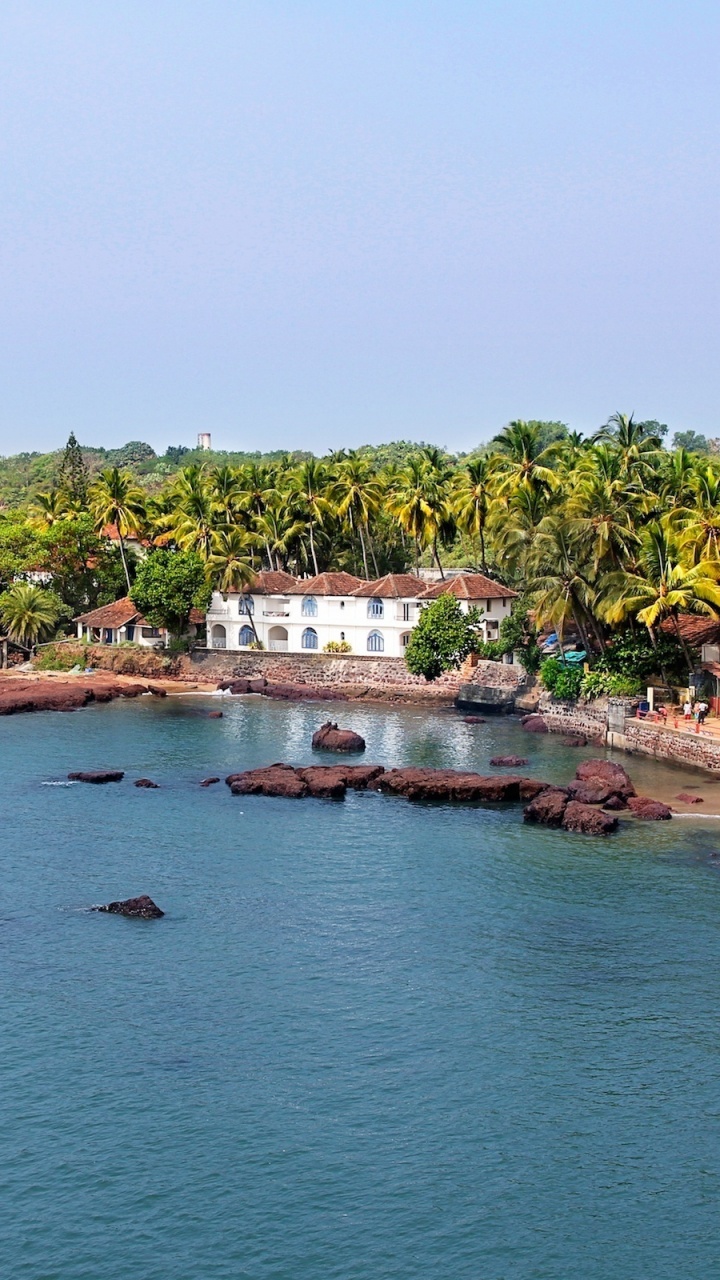Árboles Verdes Cerca Del Cuerpo de Agua Durante el Día. Wallpaper in 720x1280 Resolution