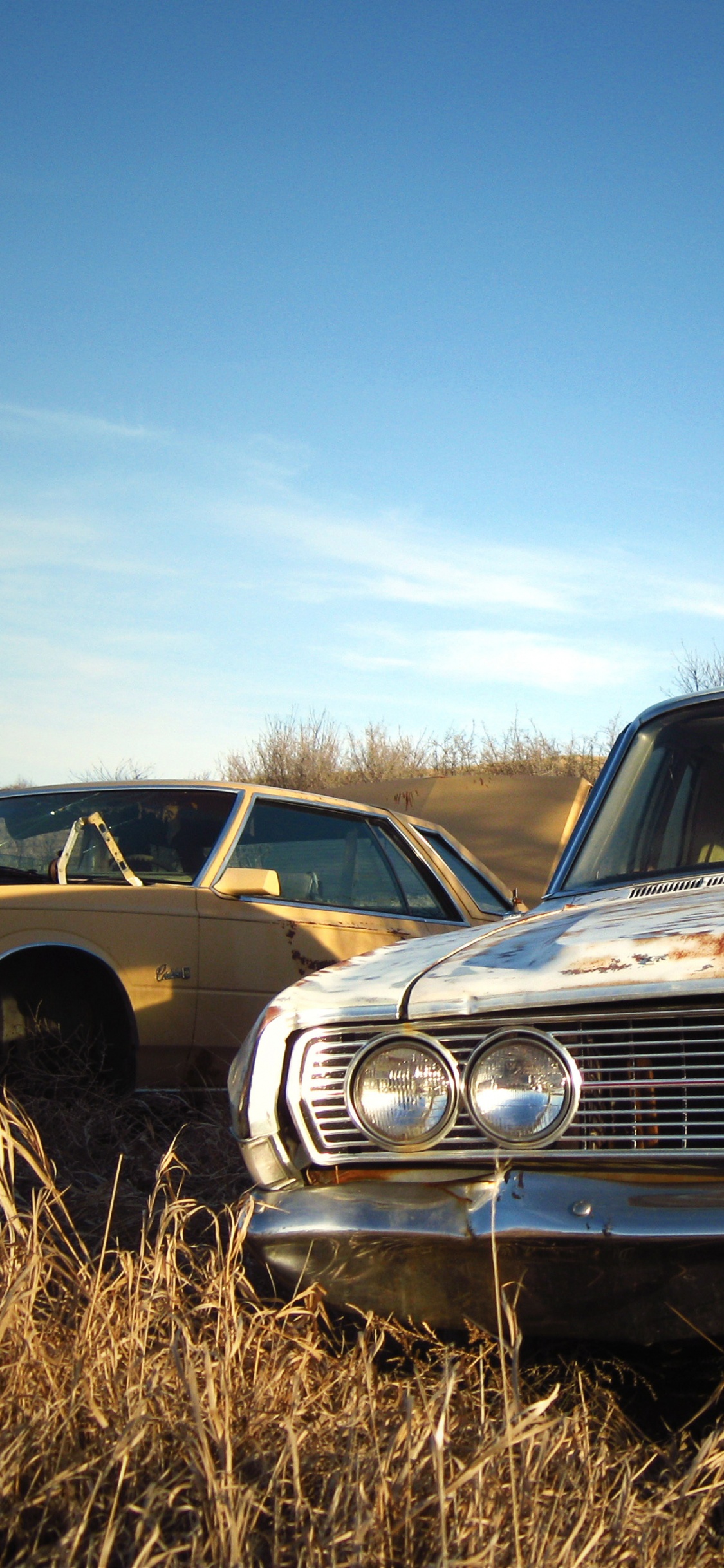 Klassisches Braunes Auto Auf Brauner Wiese Unter Blauem Himmel Tagsüber. Wallpaper in 1125x2436 Resolution