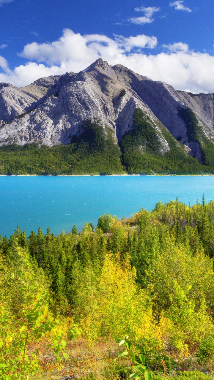 Green Mountain Beside Body of Water Under Blue Sky During Daytime. Wallpaper in 720x1280 Resolution