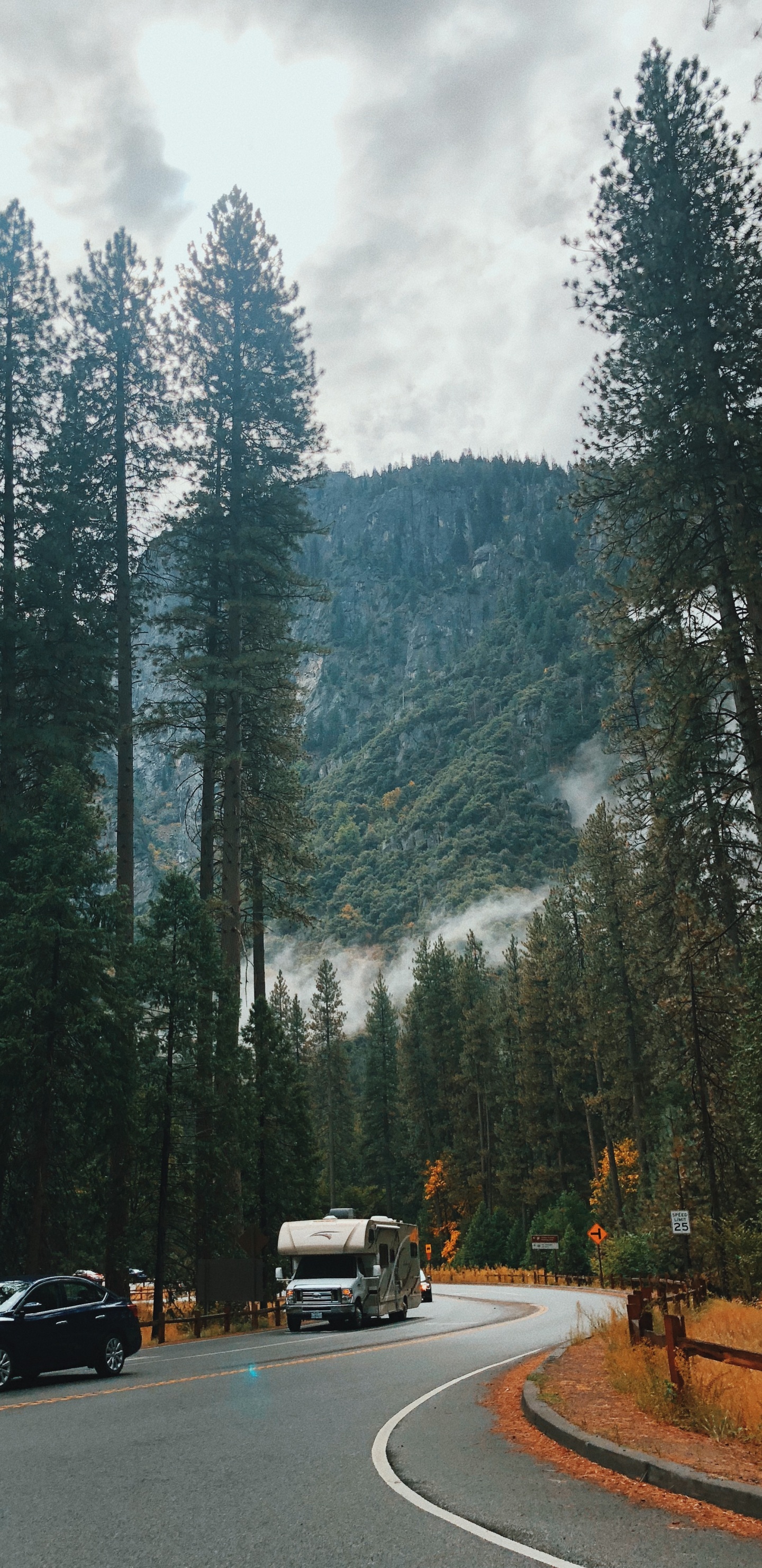 Naturaleza, Las Coníferas, Carretera, Exterior Del Automotor, la Superficie de la Carretera. Wallpaper in 1440x2960 Resolution