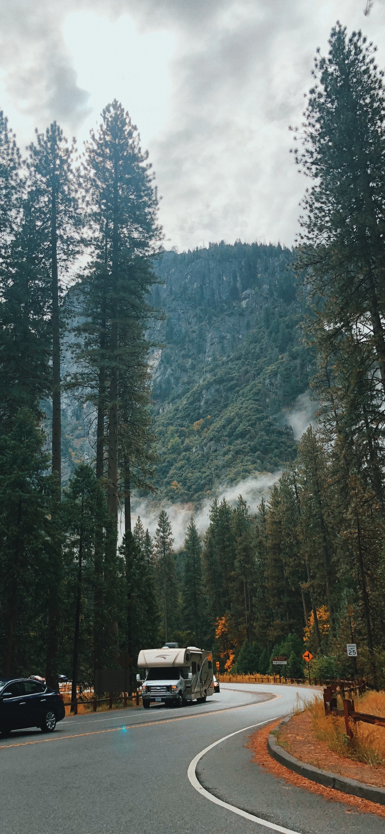 Nature, Conifères, Route, Extérieurs D'automobile, Surface de la Route. Wallpaper in 1242x2688 Resolution