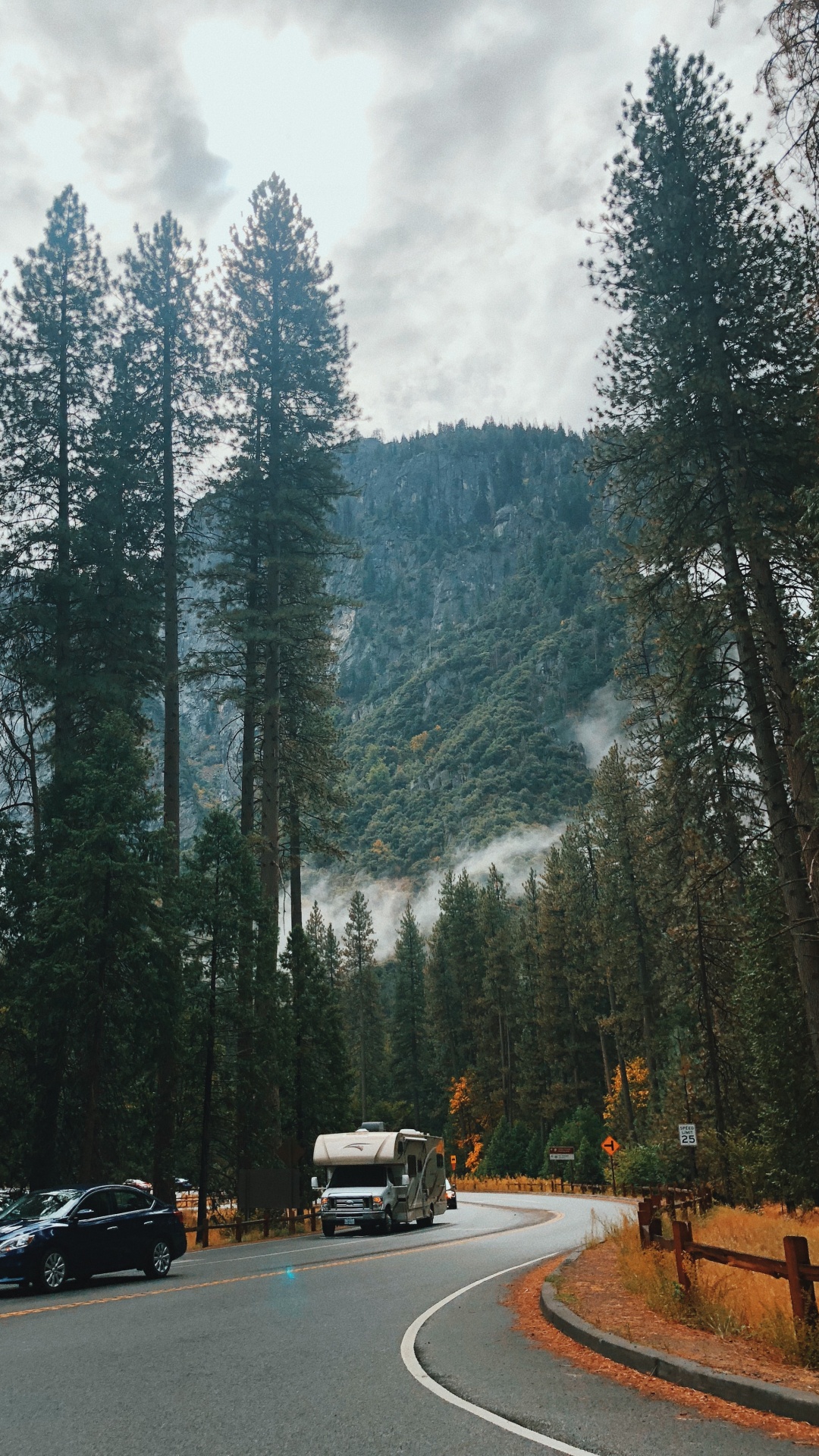 Nature, Conifers, Road, Tree, Automotive Exterior. Wallpaper in 1080x1920 Resolution