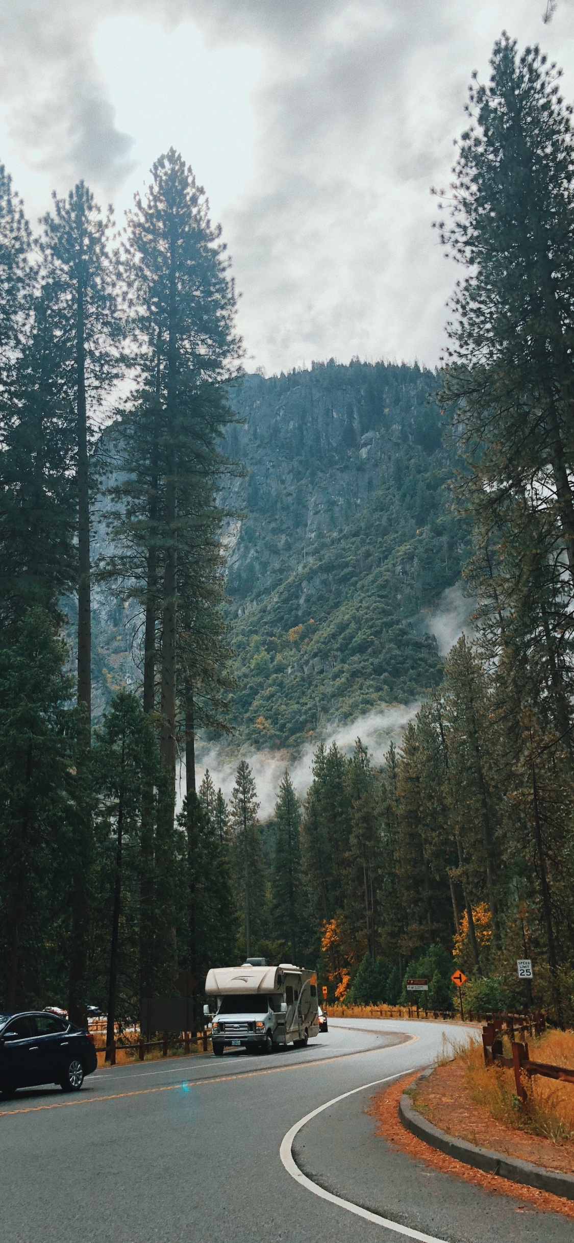 Nature, Conifers, Road, Tree, Automotive Exterior. Wallpaper in 1125x2436 Resolution