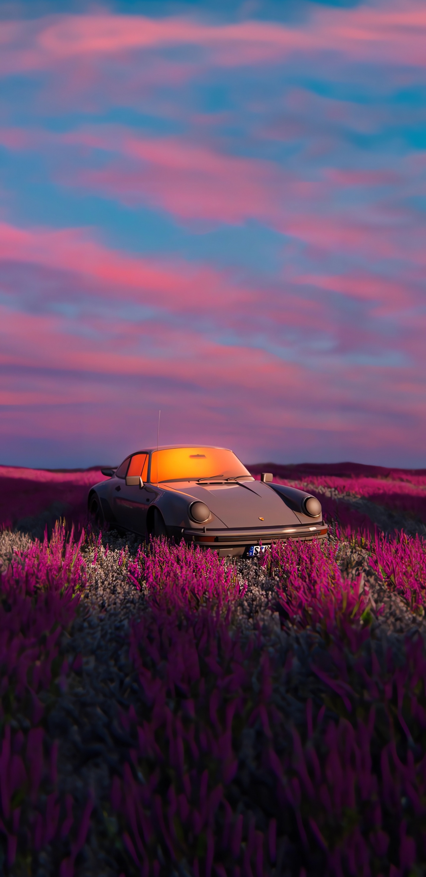 Flores Silvestres, Deportivo, Coche, Capucha, Iluminación Automotriz. Wallpaper in 1440x2960 Resolution