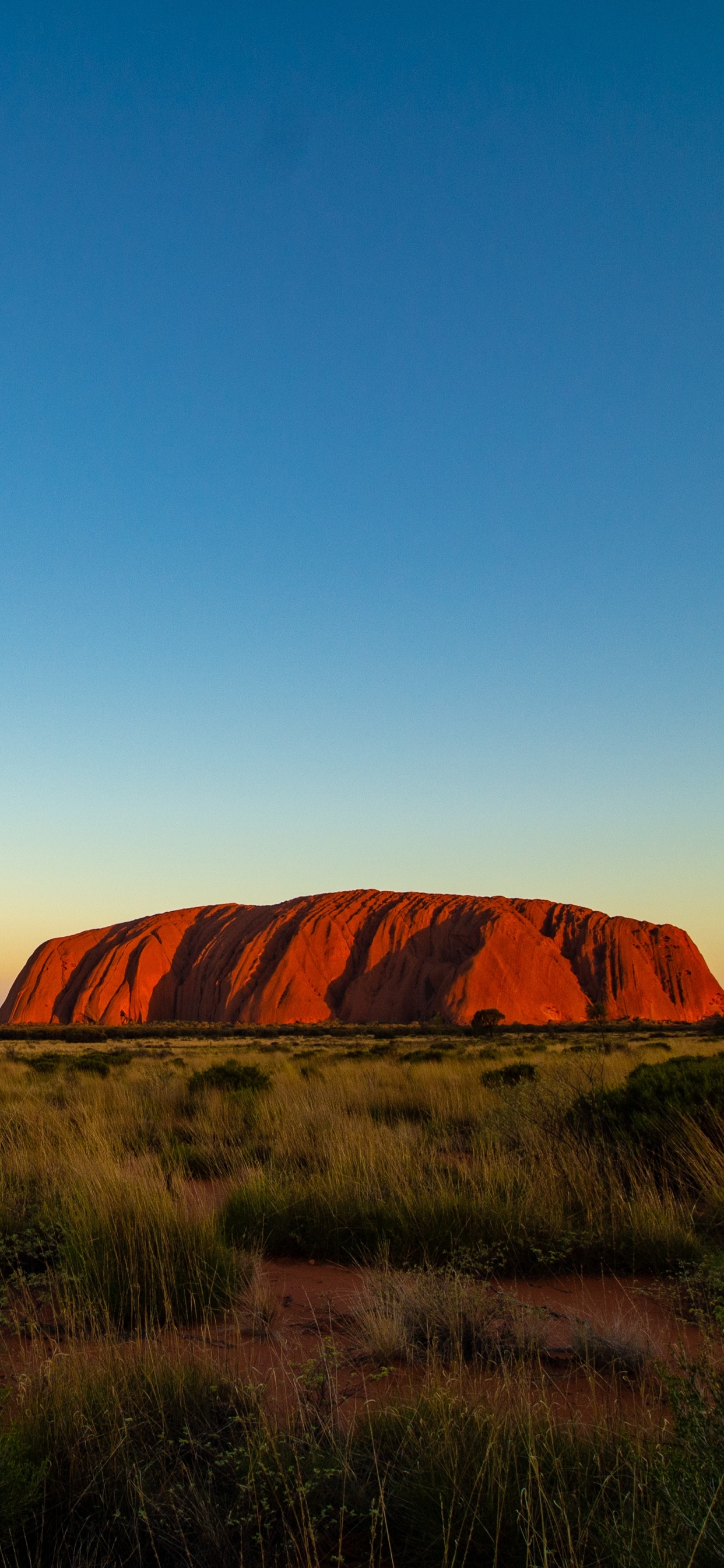 Uluru, Alice Springs, Naturaleza, Paisaje Natural, Llanura. Wallpaper in 1242x2688 Resolution