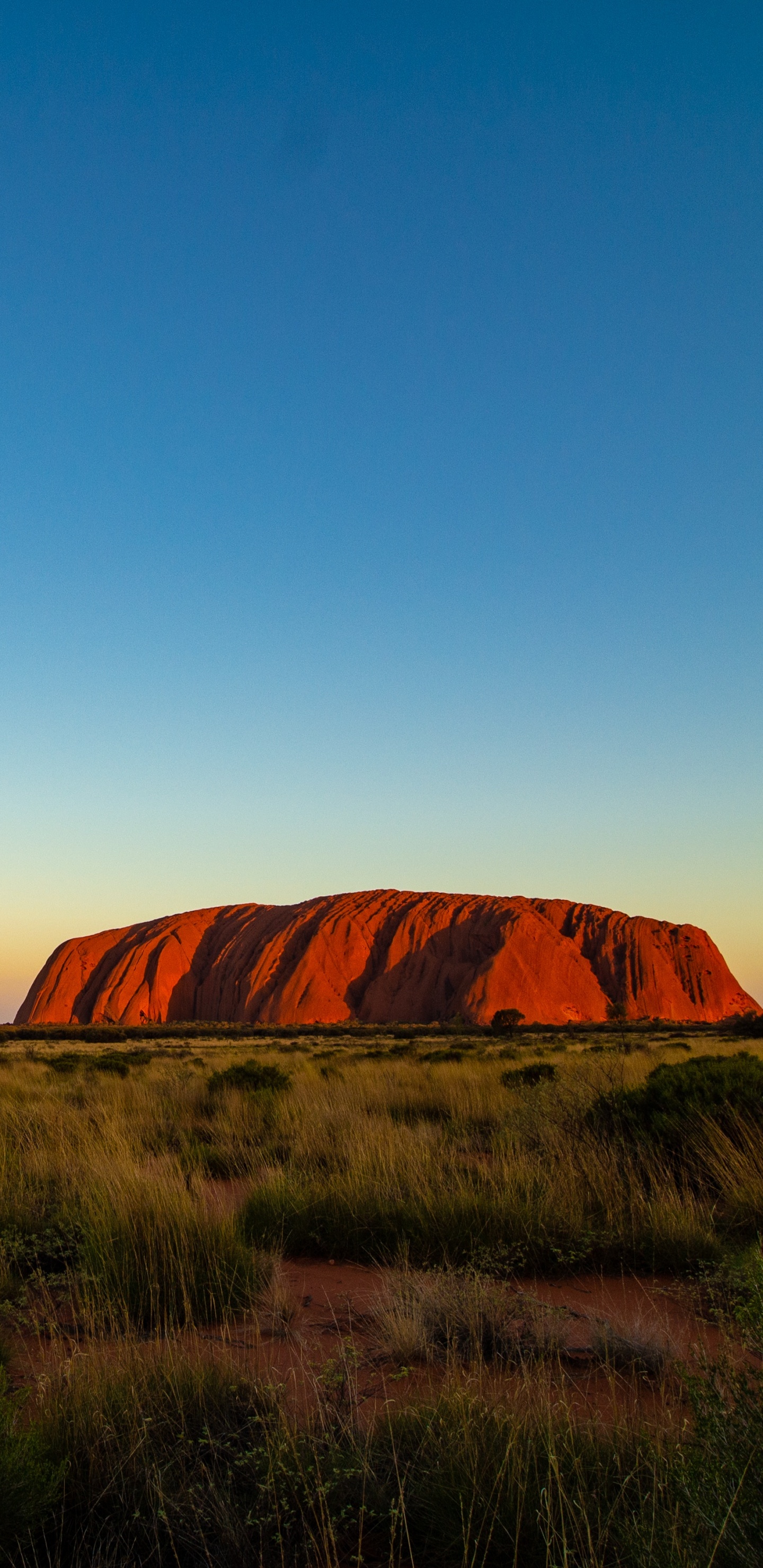 Uluru, Alice Springs, Naturaleza, Paisaje Natural, Llanura. Wallpaper in 1440x2960 Resolution