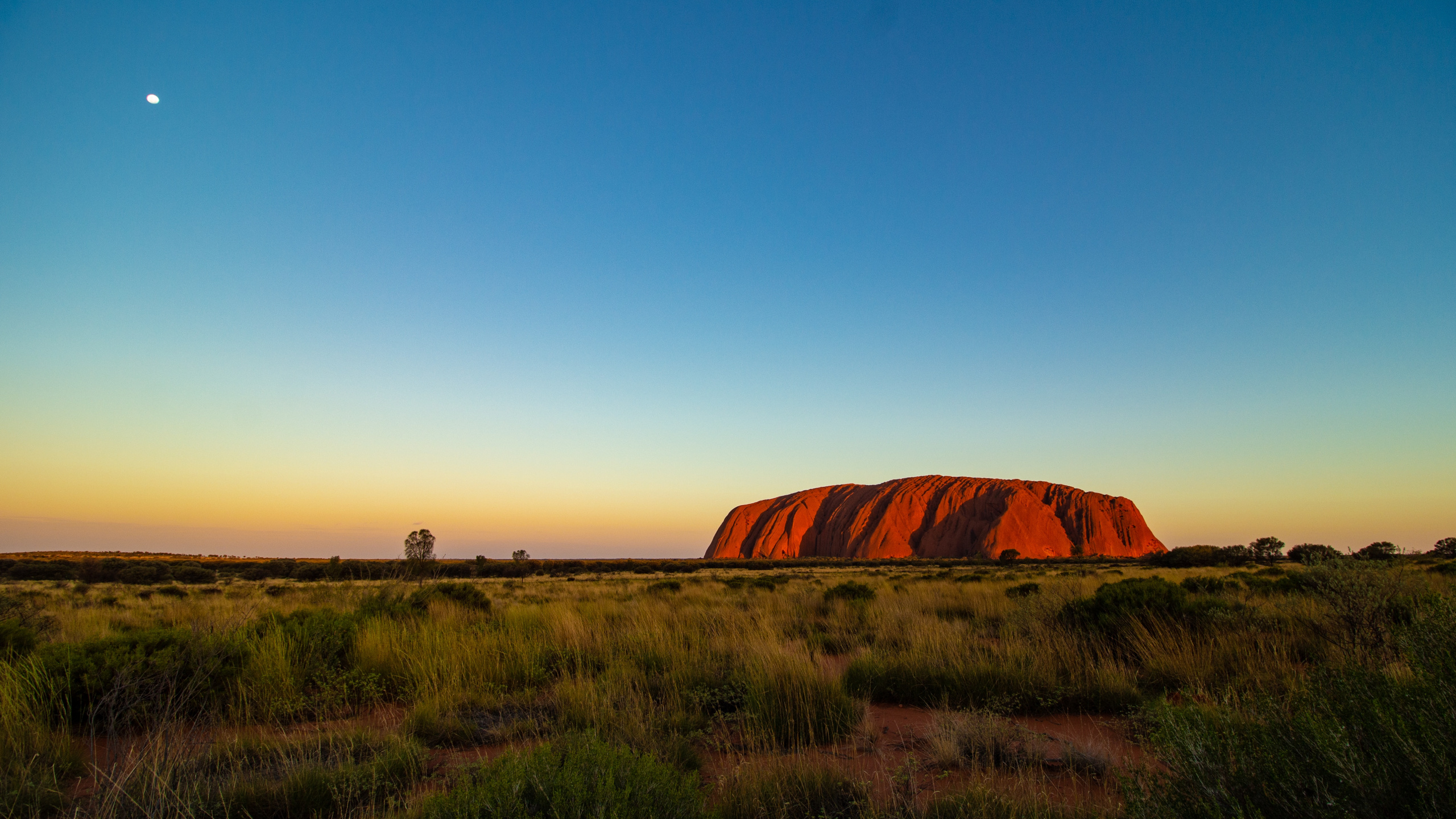 Uluru, Alice Springs, Naturaleza, Paisaje Natural, Llanura. Wallpaper in 2560x1440 Resolution