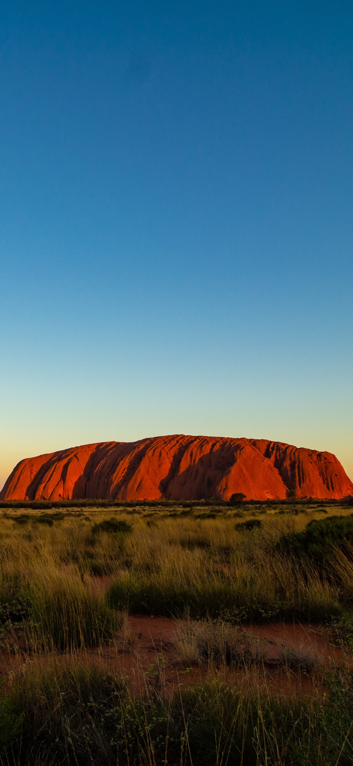 Uluru, Alice Springs, Nature, Prairie, Paysage Naturel. Wallpaper in 1125x2436 Resolution