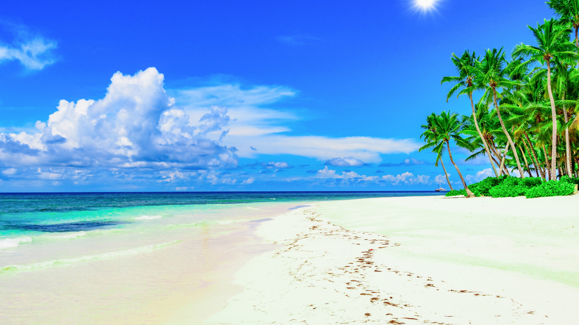 Green Palm Tree on White Sand Beach During Daytime. Wallpaper in 1920x1080 Resolution