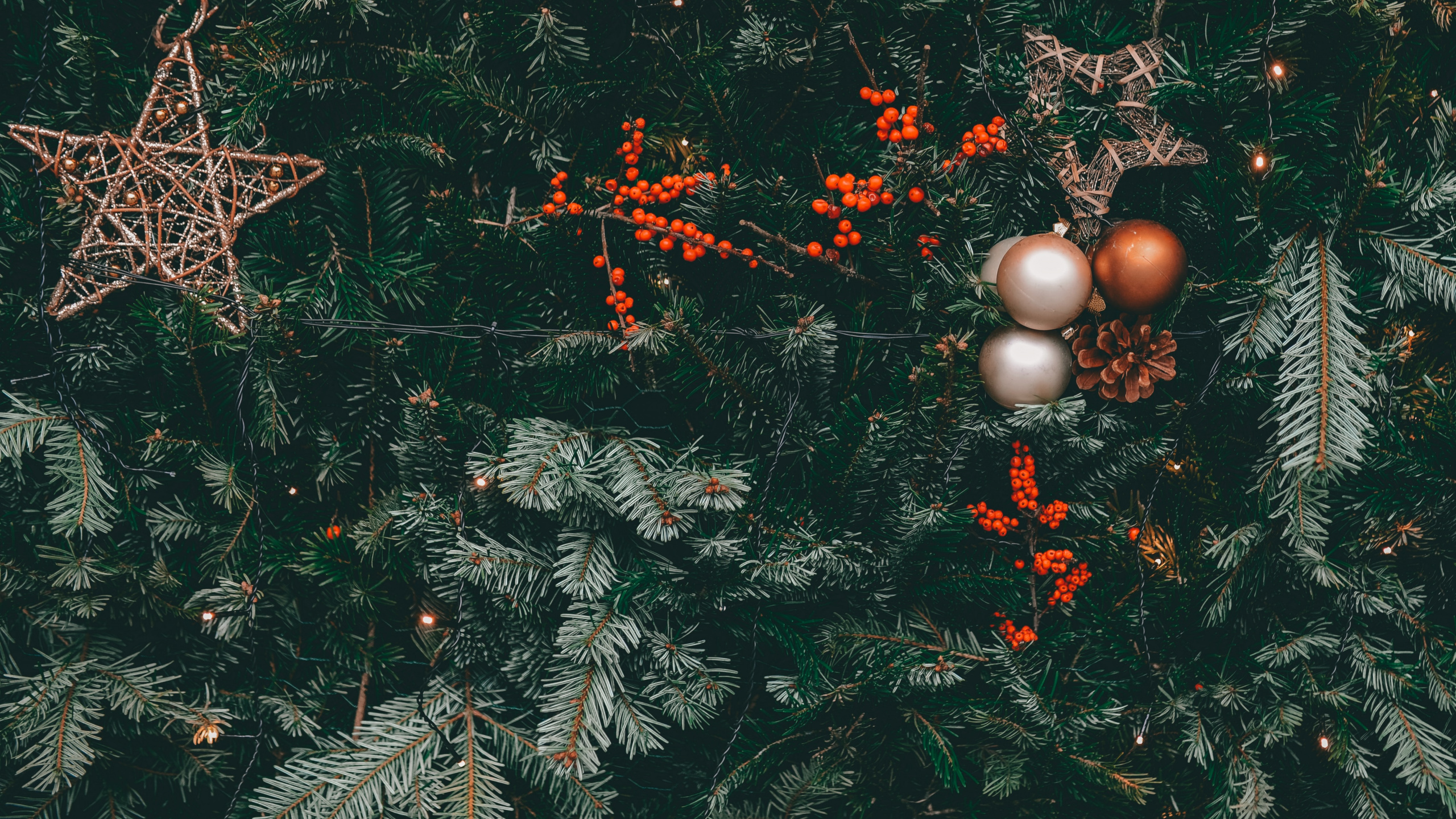 Gold Baubles on Green Pine Tree. Wallpaper in 2560x1440 Resolution